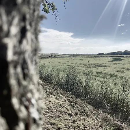 ベッド・アンド・ブレックファスト Wiltsangh Texel Tuinsuite Black